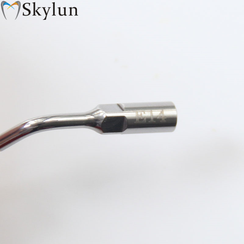5PCS Dental Ultrasonic Scaler  - đánh giá và giá Teeth Whitening Dental