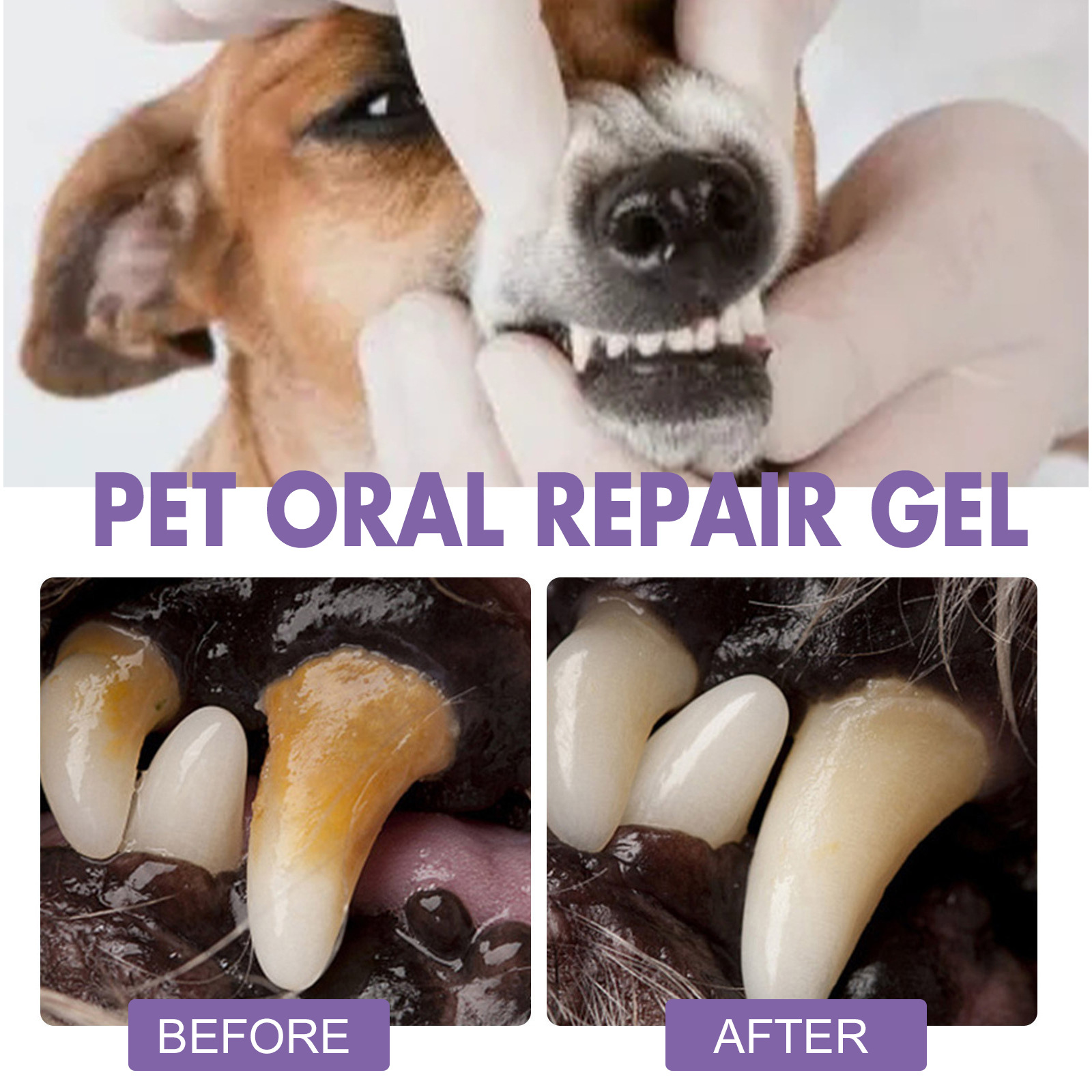Pet Oral Repair Gel Puppy Tart - đánh giá và giá Teeth Whitening Ulta