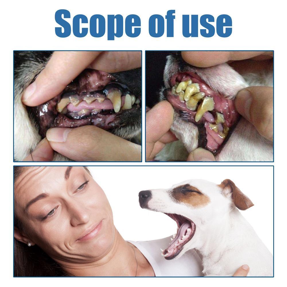 Pet Tartar Remover Dogs Cats T - đánh giá và giá Teeth Whitening Effective