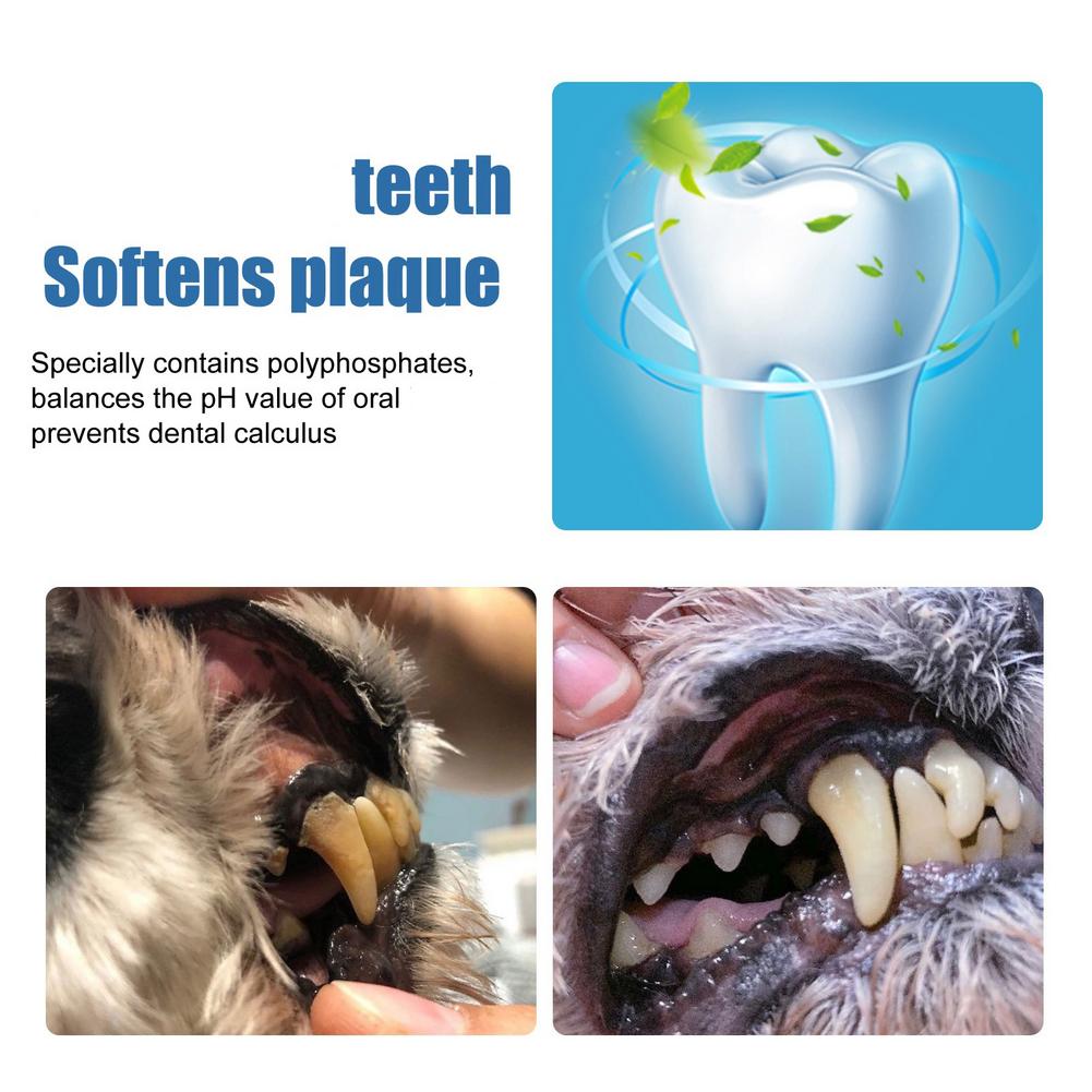Pet Tartar Remover Dogs Cats T - đánh giá và giá Teeth Whitening Effective