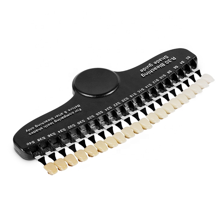 Professional 20 Colors Dental  - đánh giá và giá Teeth Whitening Dental